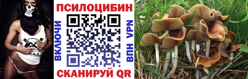 Галлюциногенные грибы Cubensis Волжск